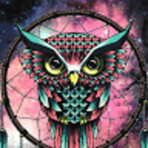 Meet your Posher, Jade